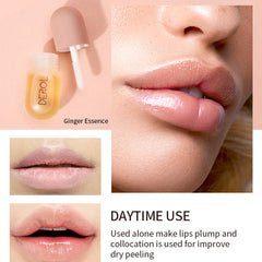 Lips Plumper Oil - Vita Luxe Skin Care 